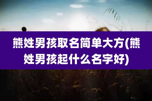 熊姓男孩取名简单大方(熊姓男孩起什么名字好)