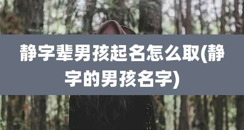 静字辈男孩起名怎么取(静字的男孩名字)