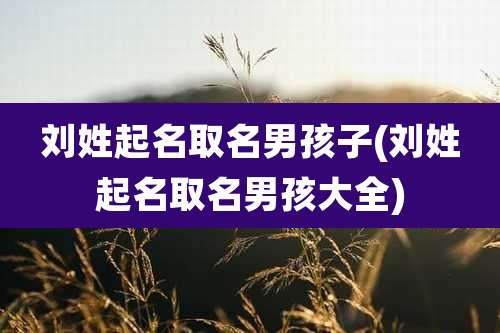 刘姓起名取名男孩子(刘姓起名取名男孩大全)