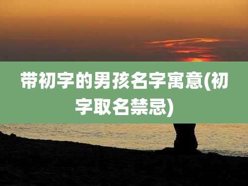带初字的男孩名字寓意(初字取名禁忌)