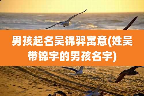 男孩起名吴锦羿寓意(姓吴带锦字的男孩名字)