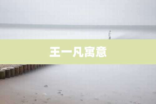 王一凡寓意