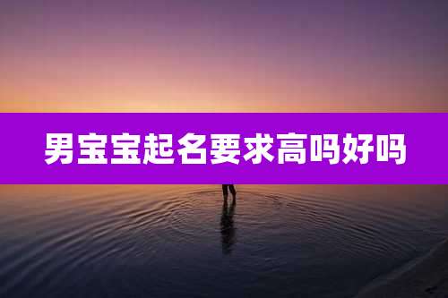 男宝宝起名要求高吗好吗