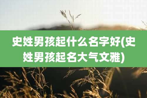史姓男孩起什么名字好(史姓男孩起名大气文雅)