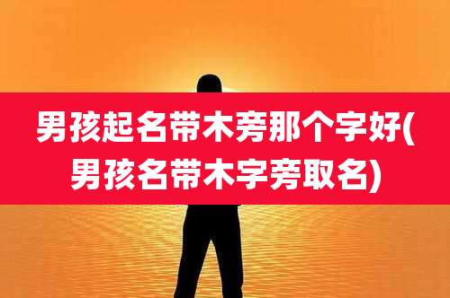 男孩起名带木旁那个字好(男孩名带木字旁取名)