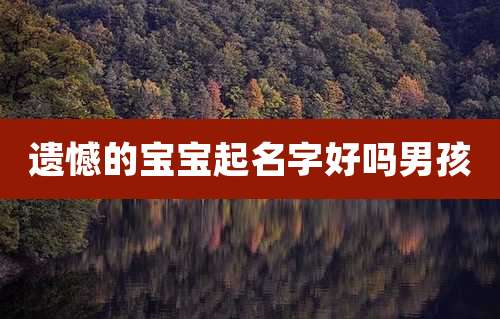 遗憾的宝宝起名字好吗男孩