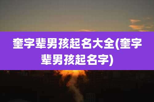 奎字辈男孩起名大全(奎字辈男孩起名字)