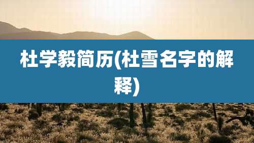 杜学毅简历(杜雪名字的解释)