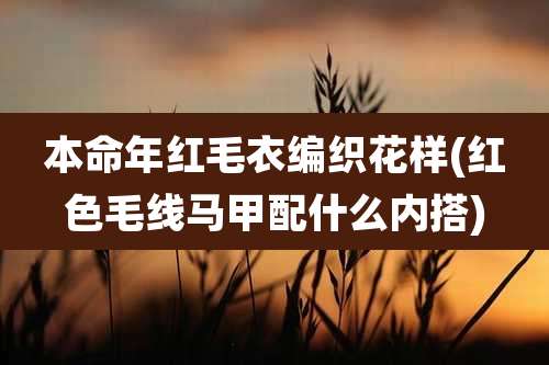 本命年红毛衣编织花样(红色毛线马甲配什么内搭)