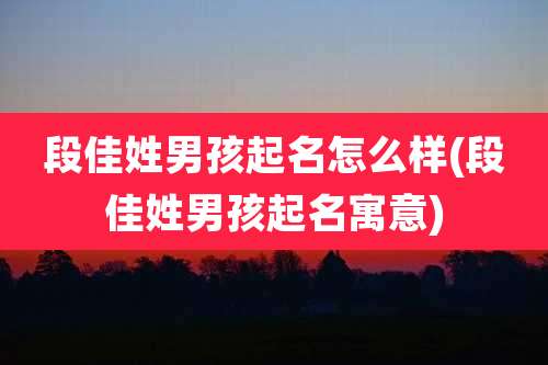 段佳姓男孩起名怎么样(段佳姓男孩起名寓意)