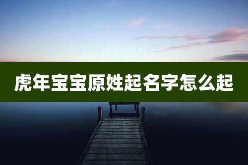 虎年宝宝原姓起名字怎么起