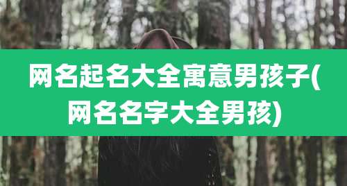 网名起名大全寓意男孩子(网名名字大全男孩)
