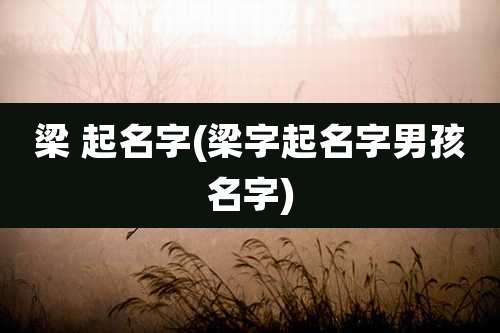 梁 起名字(梁字起名字男孩名字)