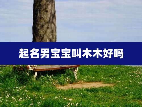 起名男宝宝叫木木好吗