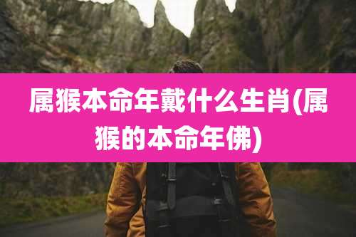 属猴本命年戴什么生肖(属猴的本命年佛)