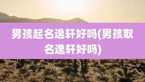 男孩起名逸轩好吗(男孩取名逸轩好吗)