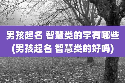 男孩起名 智慧类的字有哪些(男孩起名 智慧类的好吗)