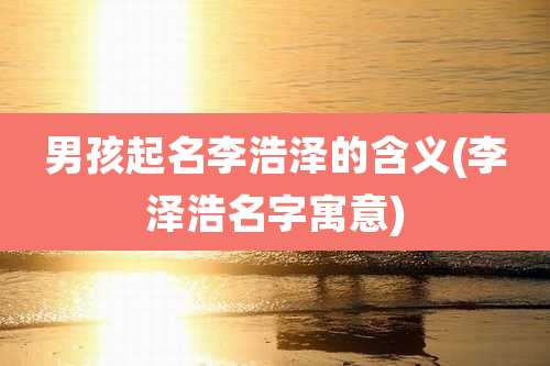 男孩起名李浩泽的含义(李泽浩名字寓意)