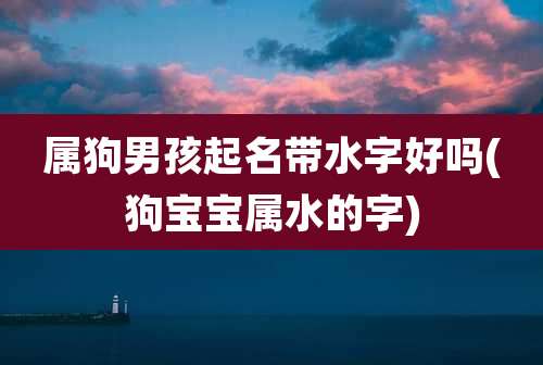 属狗男孩起名带水字好吗(狗宝宝属水的字)