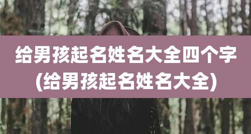 给男孩起名姓名大全四个字(给男孩起名姓名大全)