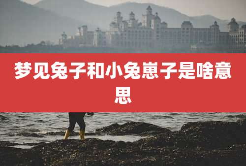 梦见兔子和小兔崽子是啥意思