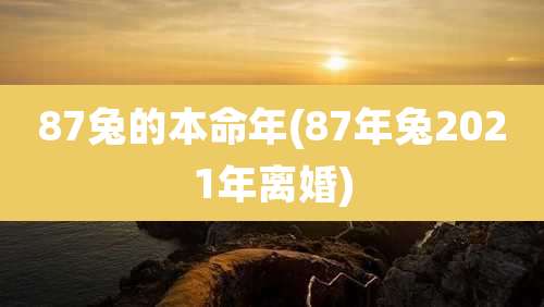87兔的本命年(87年兔2021年离婚)
