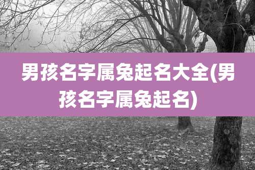 男孩名字属兔起名大全(男孩名字属兔起名)