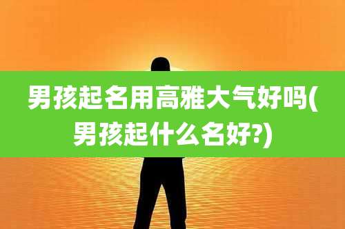 男孩起名用高雅大气好吗(男孩起什么名好?)