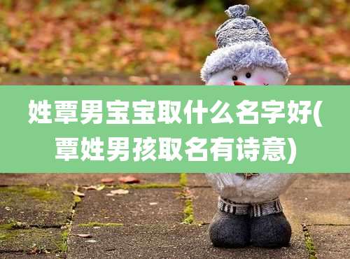 姓覃男宝宝取什么名字好(覃姓男孩取名有诗意)