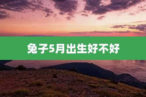 兔子5月出生好不好