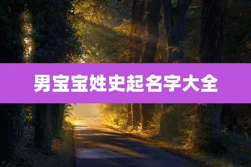 男宝宝姓史起名字大全