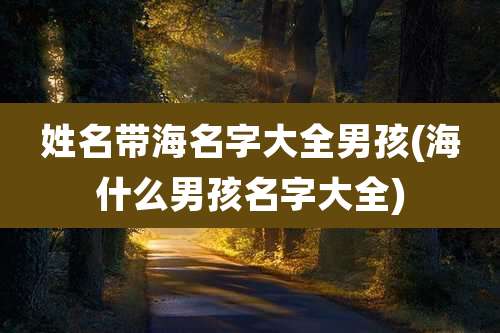 姓名带海名字大全男孩(海什么男孩名字大全)