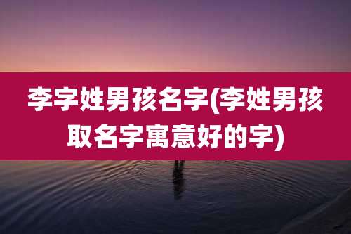 李字姓男孩名字(李姓男孩取名字寓意好的字)