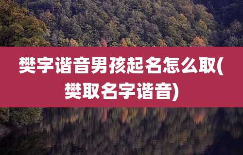樊字谐音男孩起名怎么取(樊取名字谐音)