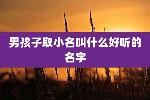 男孩子取小名叫什么好听的名字