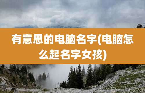 有意思的电脑名字(电脑怎么起名字女孩)