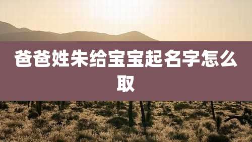 爸爸姓朱给宝宝起名字怎么取