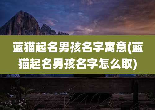 蓝猫起名男孩名字寓意(蓝猫起名男孩名字怎么取)