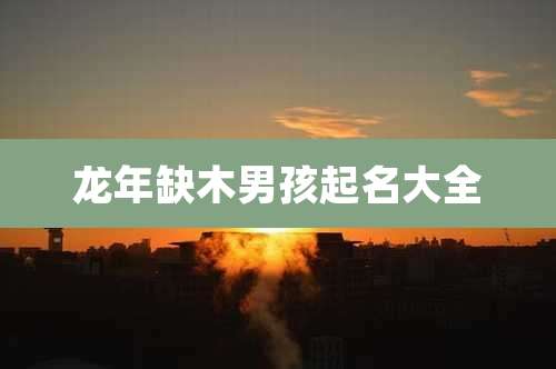 龙年缺木男孩起名大全