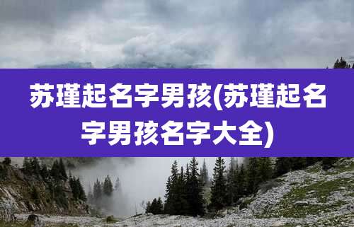 苏瑾起名字男孩(苏瑾起名字男孩名字大全)