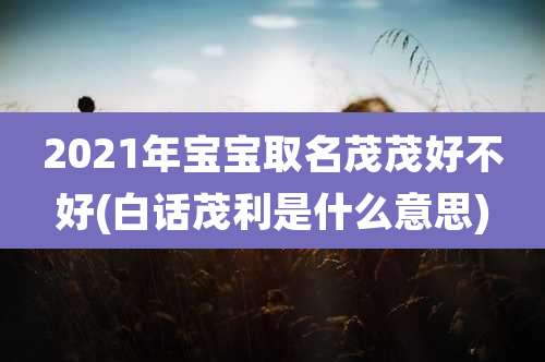 2021年宝宝取名茂茂好不好(白话茂利是什么意思)