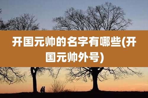 开国元帅的名字有哪些(开国元帅外号)