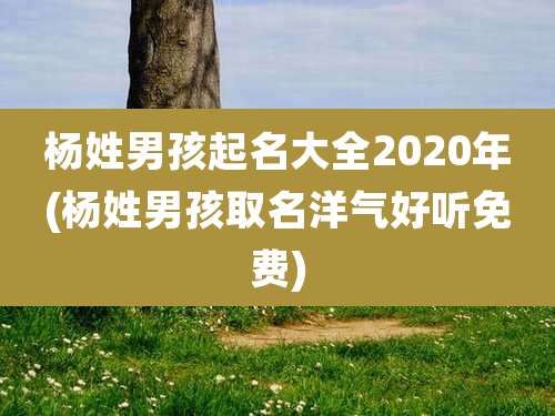 杨姓男孩起名大全2020年(杨姓男孩取名洋气好听免费)
