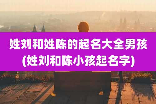 姓刘和姓陈的起名大全男孩(姓刘和陈小孩起名字)