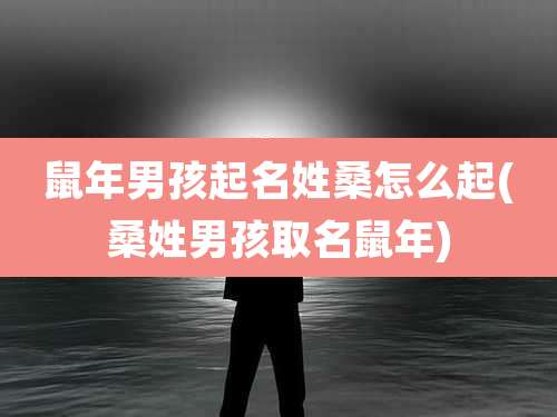 鼠年男孩起名姓桑怎么起(桑姓男孩取名鼠年)