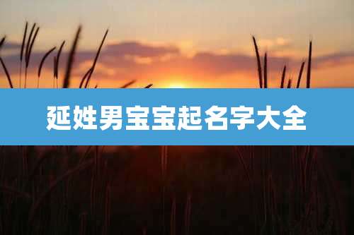 延姓男宝宝起名字大全