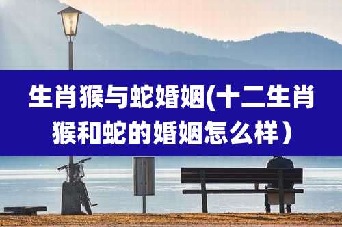 生肖猴与蛇婚姻(十二生肖猴和蛇的婚姻怎么样)