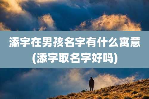 添字在男孩名字有什么寓意(添字取名字好吗)