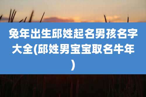 兔年出生邱姓起名男孩名字大全(邱姓男宝宝取名牛年)