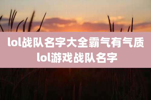 lol战队名字大全霸气有气质 lol游戏战队名字